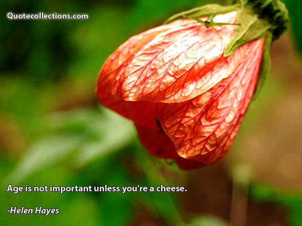 Helen Hayes Quotes4